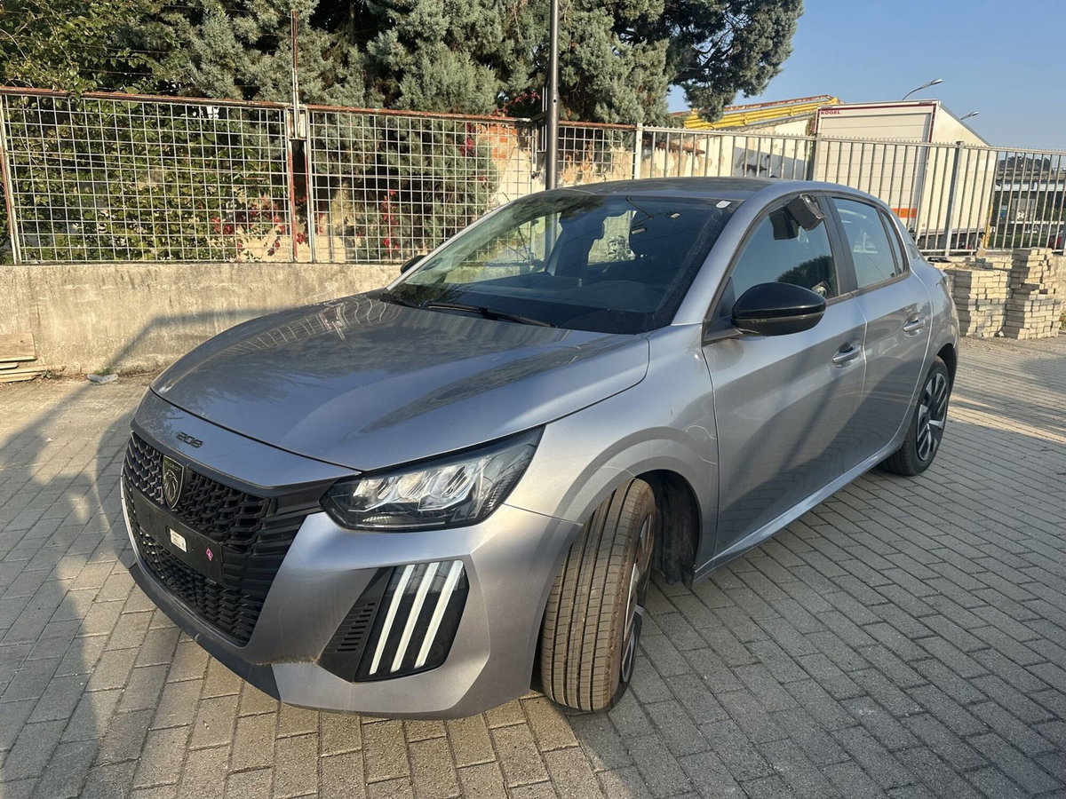 Peugeot 208 PureTech 100 Stop&Start 5 porte Active (3)