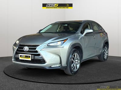 Lexus NX Hybrid Executive usata