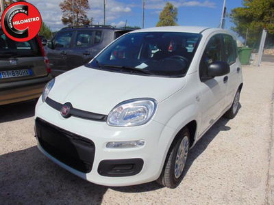 Fiat Panda 1.0 firefly hybrid s&s 70cv 5p.ti nuova