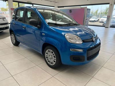 Fiat Panda 1.0 firefly hybrid s&s 70cv 5p.ti nuova