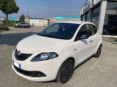 Lancia Ypsilon 1.0 FireFly 5 porte S&S Hybrid Ecochic Silver usata