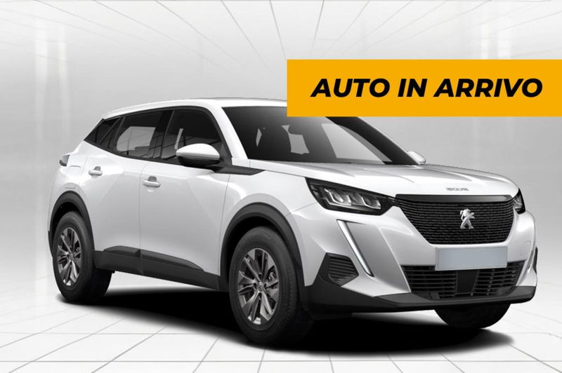 Peugeot 2008 BlueHDi 100 S&S Active