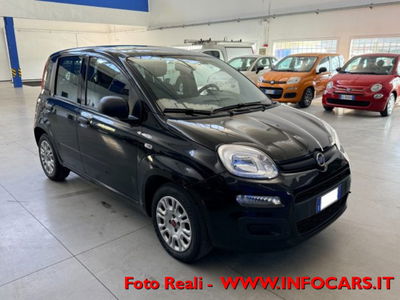 Fiat Panda 1.0 firefly hybrid s&s 70cv 5p.ti usata