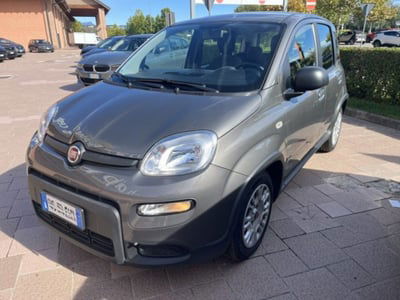 Fiat Panda 1.0 firefly hybrid s&s 70cv 5p.ti usata