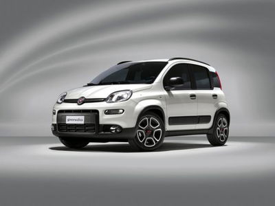 Fiat Panda 1.0 firefly hybrid s&s 70cv 5p.ti usata