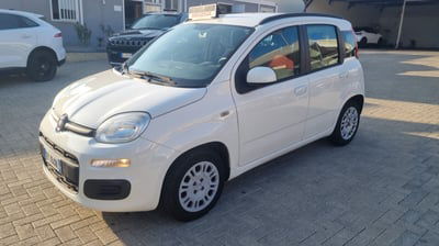 Fiat Panda 1.2 Lounge usata