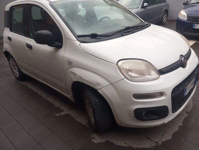 Fiat Panda 1.2 Easy usata