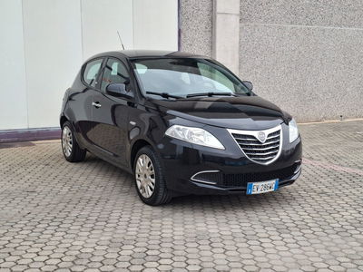 Lancia Ypsilon 1.2 69 CV Platinum usata