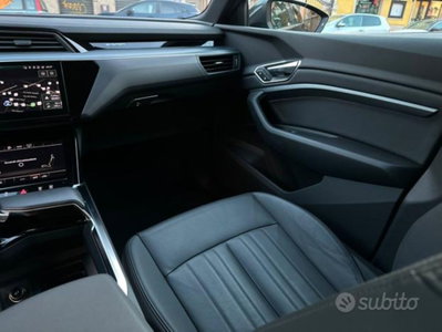 Audi e-tron 50 quattro Business (18)