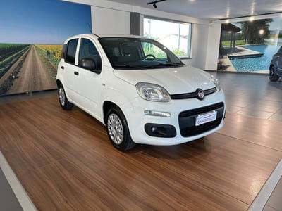 Fiat Panda 1.2 EasyPower Easy usata