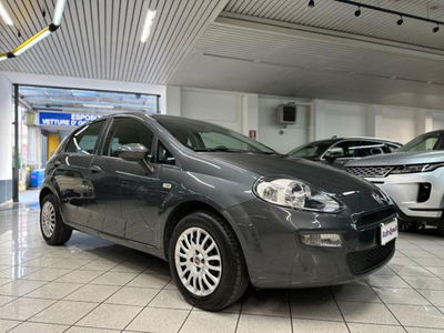 Fiat Punto 1.2 8V 5 porte Street