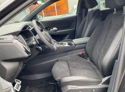 Ds DS 7 1.5 bluehdi Pallas 130cv auto (13)