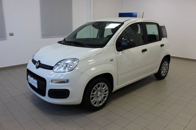 Fiat Panda 1.0 firefly hybrid Icon s&s 70cv nuova