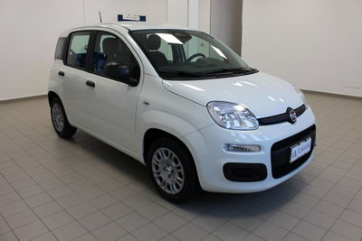 Fiat Panda 1.0 firefly hybrid Icon s&s 70cv (3)