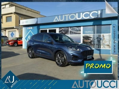 Ford Kuga 2.0 EcoBlue 120 CV aut. 2WD ST-Line X usata