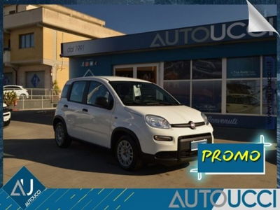 Fiat Panda 1.0 firefly hybrid s&s 70cv 5p.ti usata