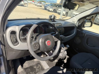 Fiat Panda Cross 1.0 firefly hybrid Cross s&s 70cv 5p.ti (16)