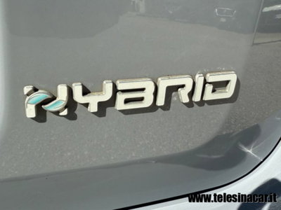 Fiat Panda Cross 1.0 firefly hybrid Cross s&s 70cv 5p.ti (9)