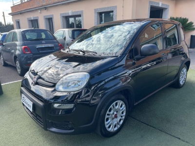 Fiat Panda 1.0 firefly hybrid s&s 70cv 5p.ti usata
