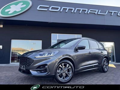 Ford Kuga 2.0 EcoBlue 120 CV aut. 2WD ST-Line X usata