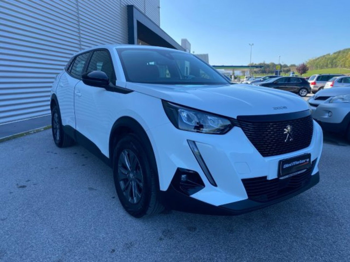 Peugeot 2008 PureTech 100 S&S Active Pack (3)