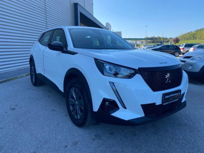 Peugeot 2008 PureTech 100 S&S Active Pack (3)