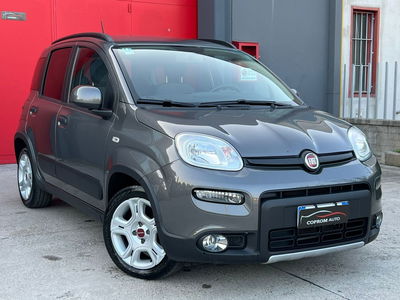 Fiat Panda 1.0 FireFly S&S Hybrid City Life usata