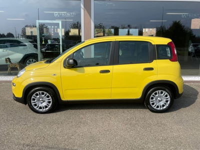 Fiat Panda 1.0 firefly hybrid s&s 70cv 5p.ti nuova