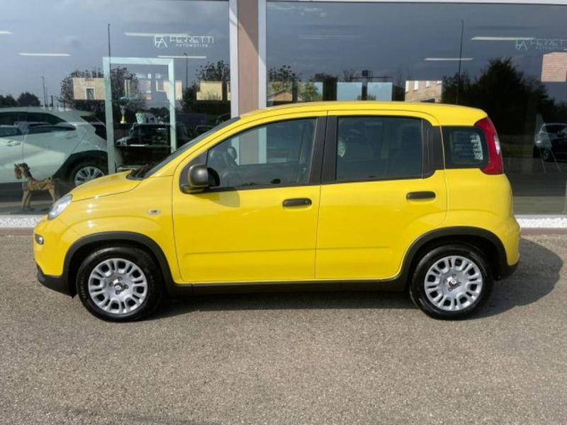 Fiat Panda 1.0 firefly hybrid s&s 70cv 5p.ti