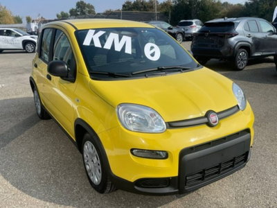 Fiat Panda 1.0 firefly hybrid s&s 70cv 5p.ti (3)