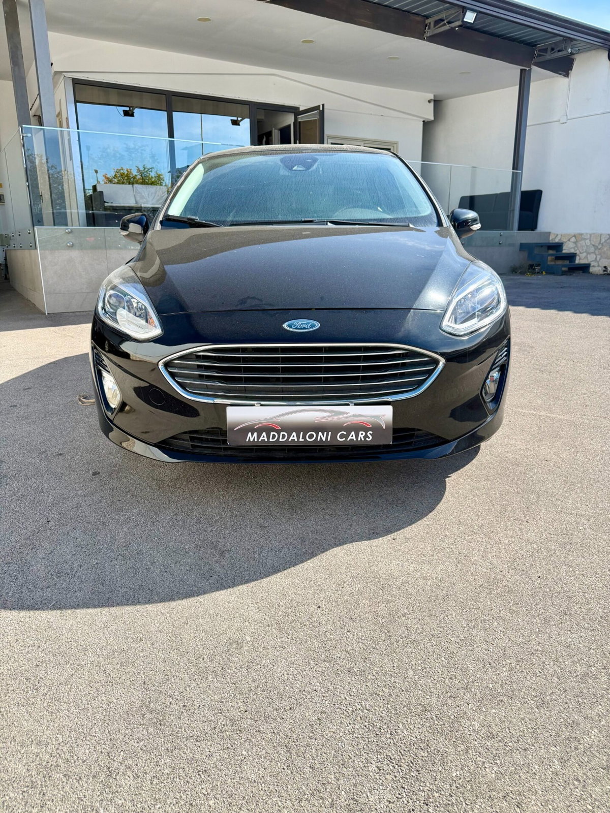 Ford Fiesta 1.5 EcoBlue 5 porte Vignale (2)