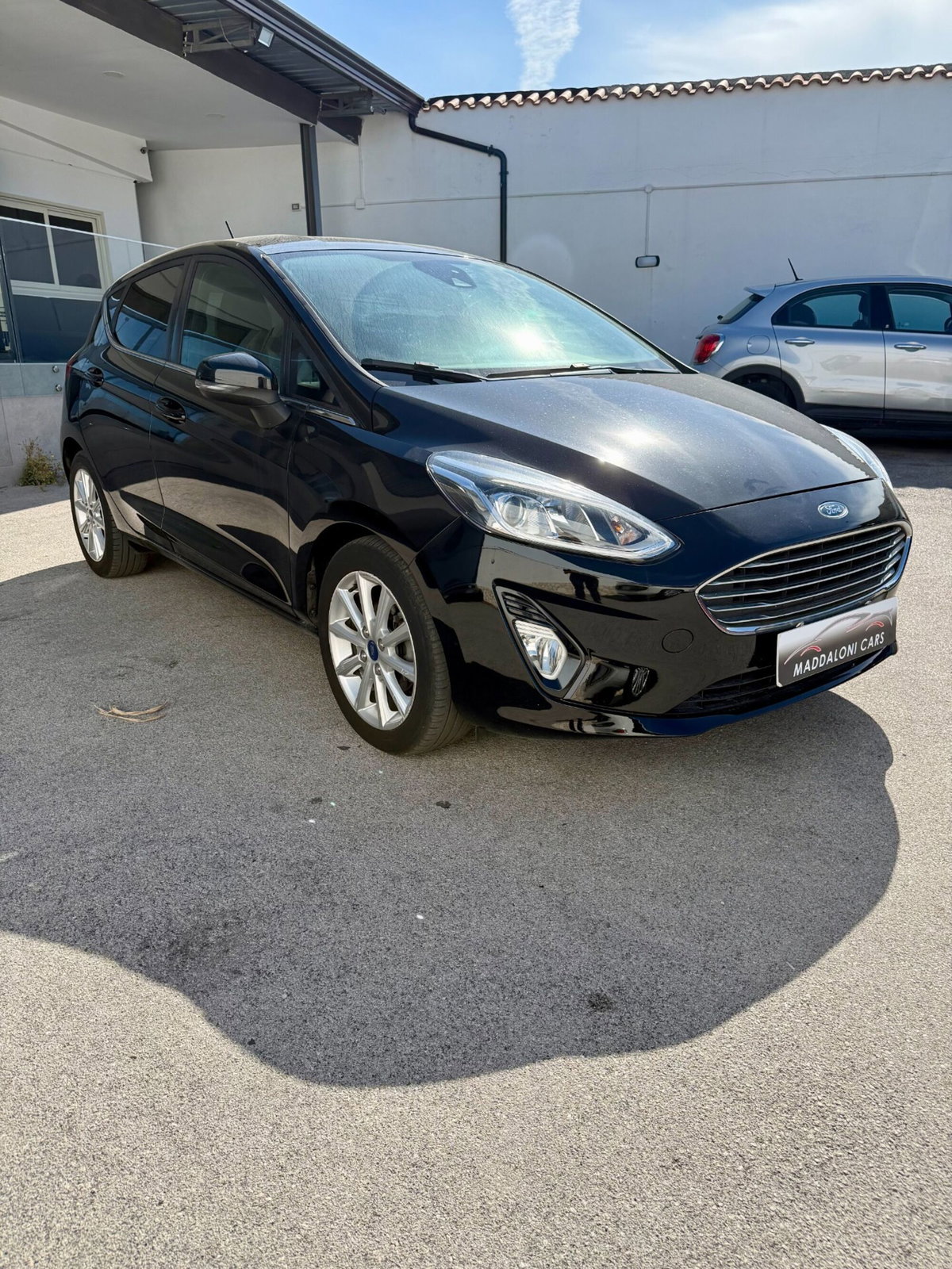 Ford Fiesta 1.5 EcoBlue 5 porte Vignale (3)