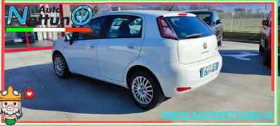 Fiat Punto 1.3 MJT II 75 CV 5 porte Street (5)