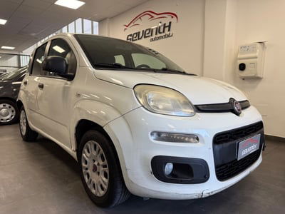 Fiat Panda 1.2 Easy usata