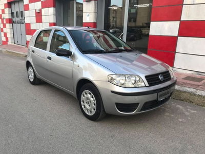 Fiat Punto 1.2 5 porte Active Natural Power usata