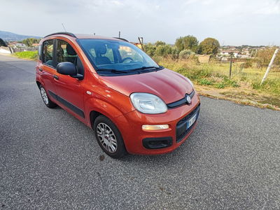 Fiat Panda 1.2 EasyPower Lounge usata