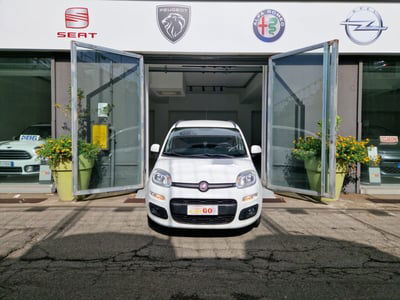 Fiat Panda 1.2 Lounge usata