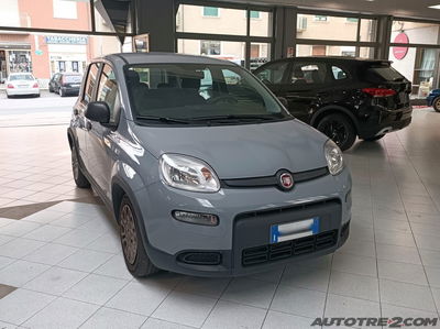Fiat Panda Cross Cross 1.0 FireFly S&S Hybrid usata