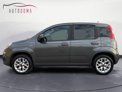 Fiat Panda 1.2 Lounge usata