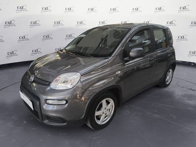 Fiat Panda Cross Cross 1.0 FireFly S&S Hybrid usata