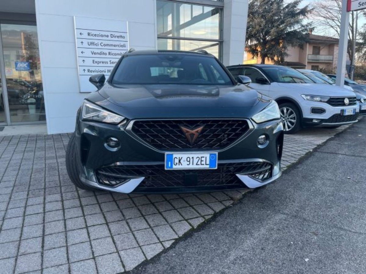 Cupra Formentor Formentor 2.0 TDI (2)