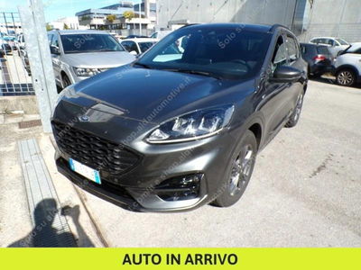 Ford Kuga 1.5 EcoBlue 120 CV 2WD ST-Line usata