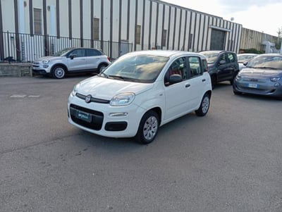 Fiat Panda 1.2 Pop usata