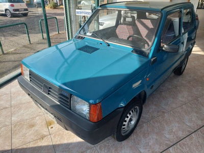 Fiat Panda 900 i.e. cat Dance