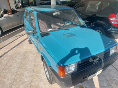 Fiat Panda 900 i.e. cat Dance (2)