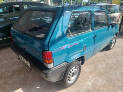 Fiat Panda 900 i.e. cat Dance (3)