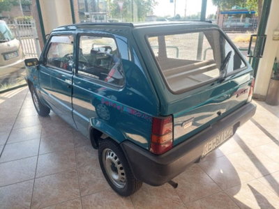 Fiat Panda 900 i.e. cat Dance (4)