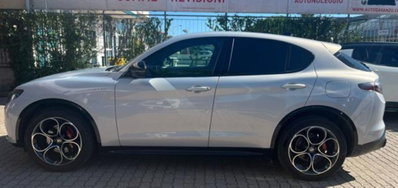 Alfa Romeo Stelvio Stelvio 2.2 Turbodiesel 210 CV AT8 Q4 Veloce Tì (4)