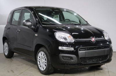 Fiat Panda 1.0 firefly hybrid s&s 70cv 5p.ti nuova