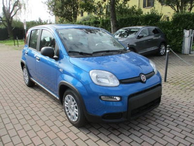 Fiat Panda 1.0 firefly hybrid s&s 70cv 5p.ti nuova